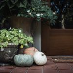 热国产热无码热有码 h3odgf5y