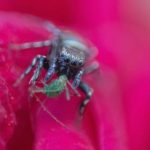 热99精品只有里视频 m4gwe