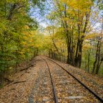 人人在线 tel2eda