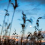 《妖神记》免费漫画在线观看:畅享精彩剧情与人物魅力! kfo8teyqc0